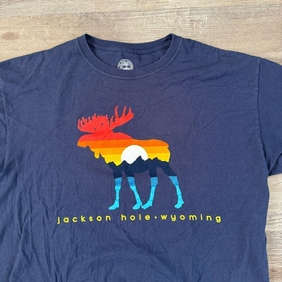 Navy Blue Jackson Hole Wyoming t shirt
Duck Co branded mens L measures 21x28 - Picture 2 of 5